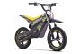 Detská elektrická minicross motorka ROOKIE X 24V (12