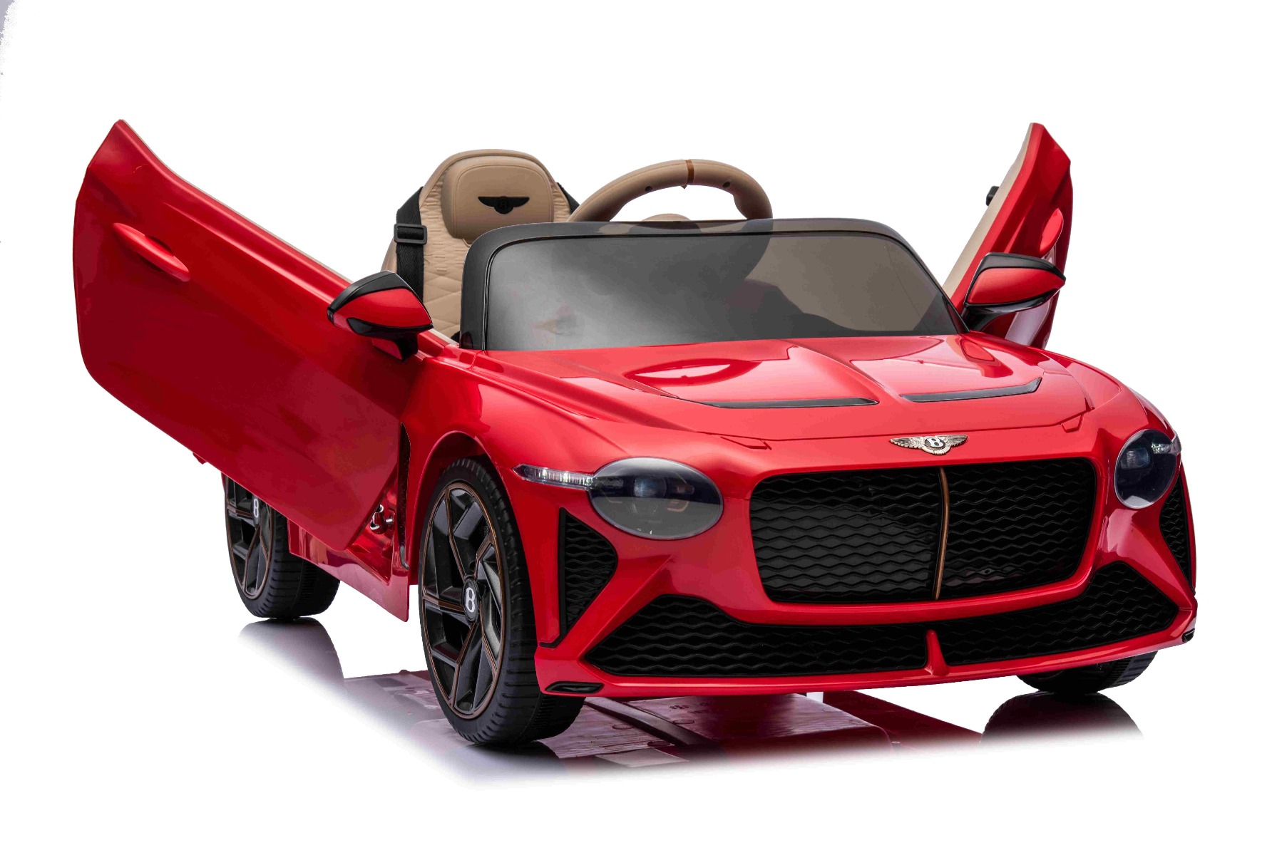 Dvere otvárajúce sa smerom nahor