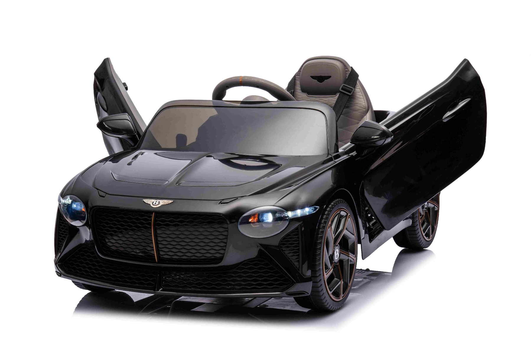 Dvere otvárajúce sa smerom nahor